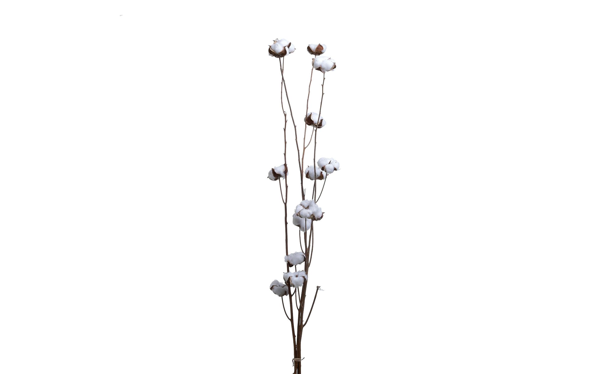 Вештачко растение, кафеаво + бело  1